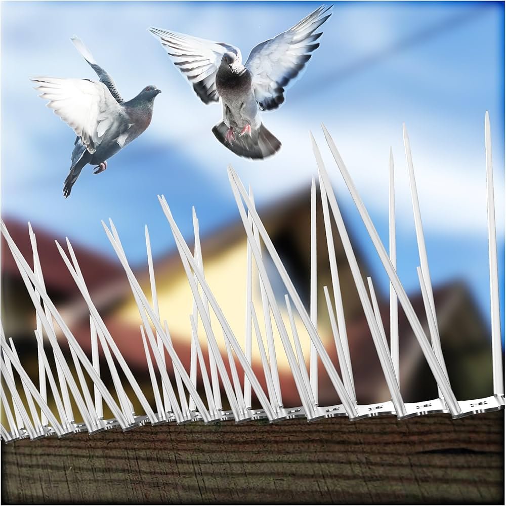 Anti Bird Spike Installation for Ledges and Buildings